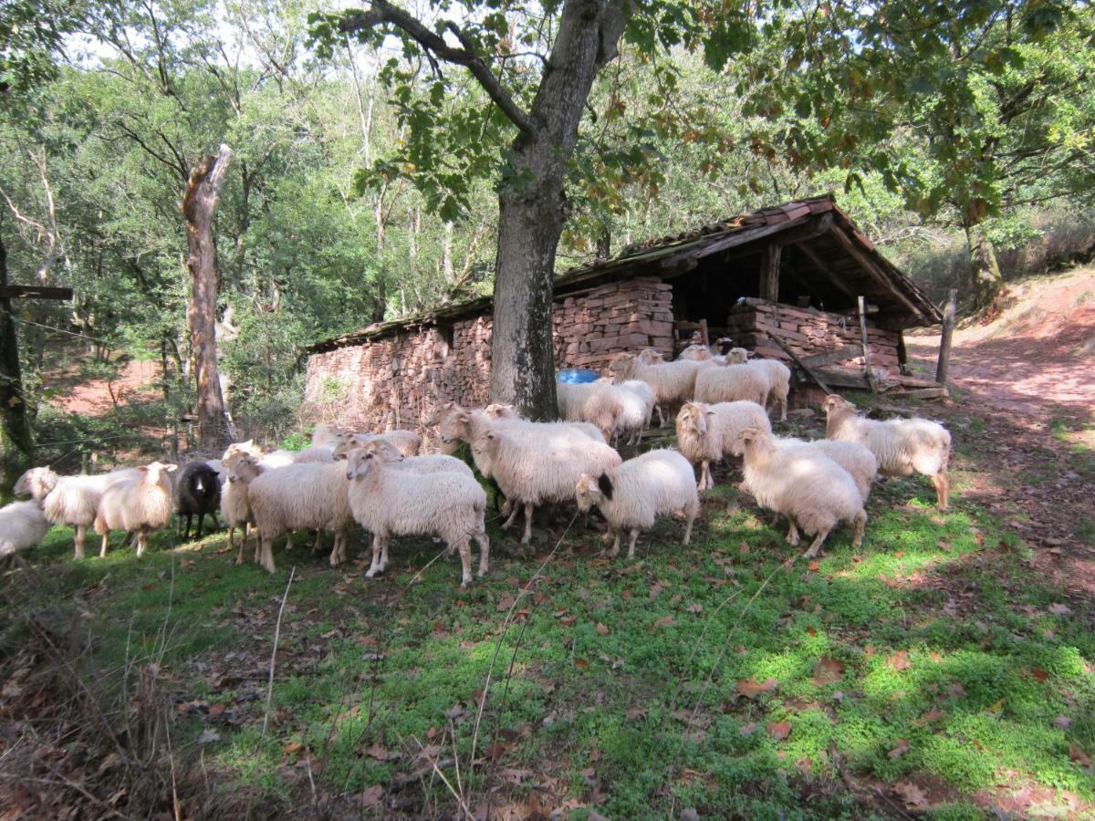Casa Rural Lakoizketa Legasa Buitenkant foto
